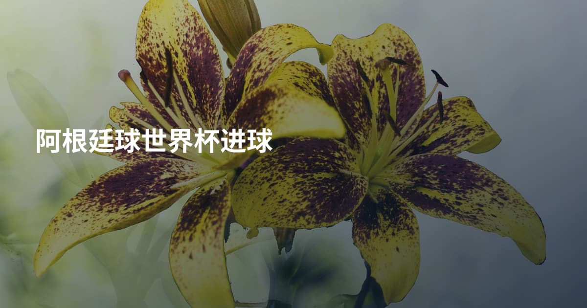 阿根廷球世界杯进球