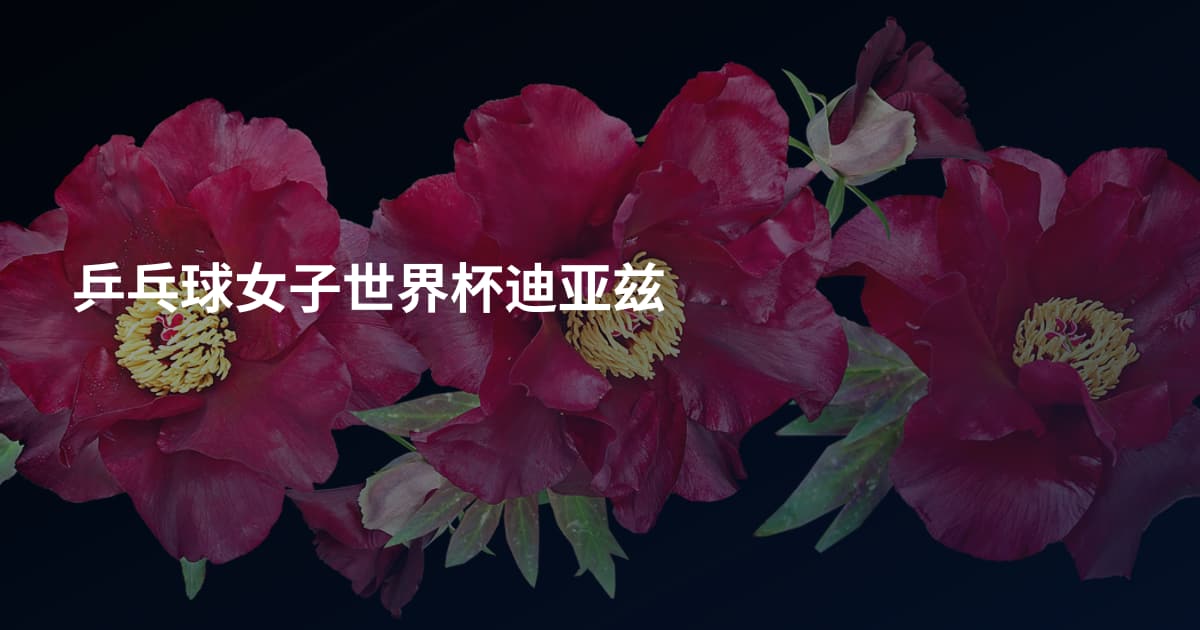 乒乓球女子世界杯迪亚兹