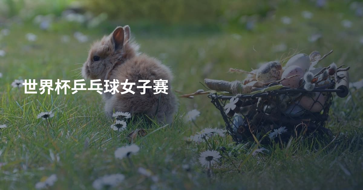 世界杯乒乓球女子赛