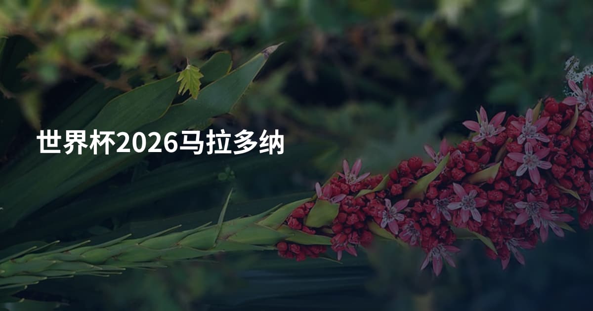 世界杯2026马拉多纳