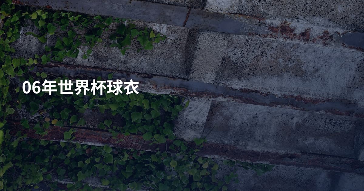 06年世界杯球衣