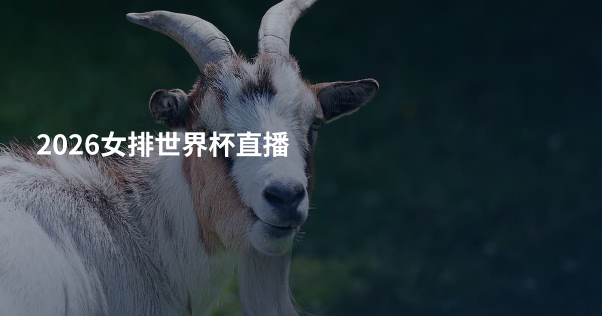 2026女排世界杯直播
