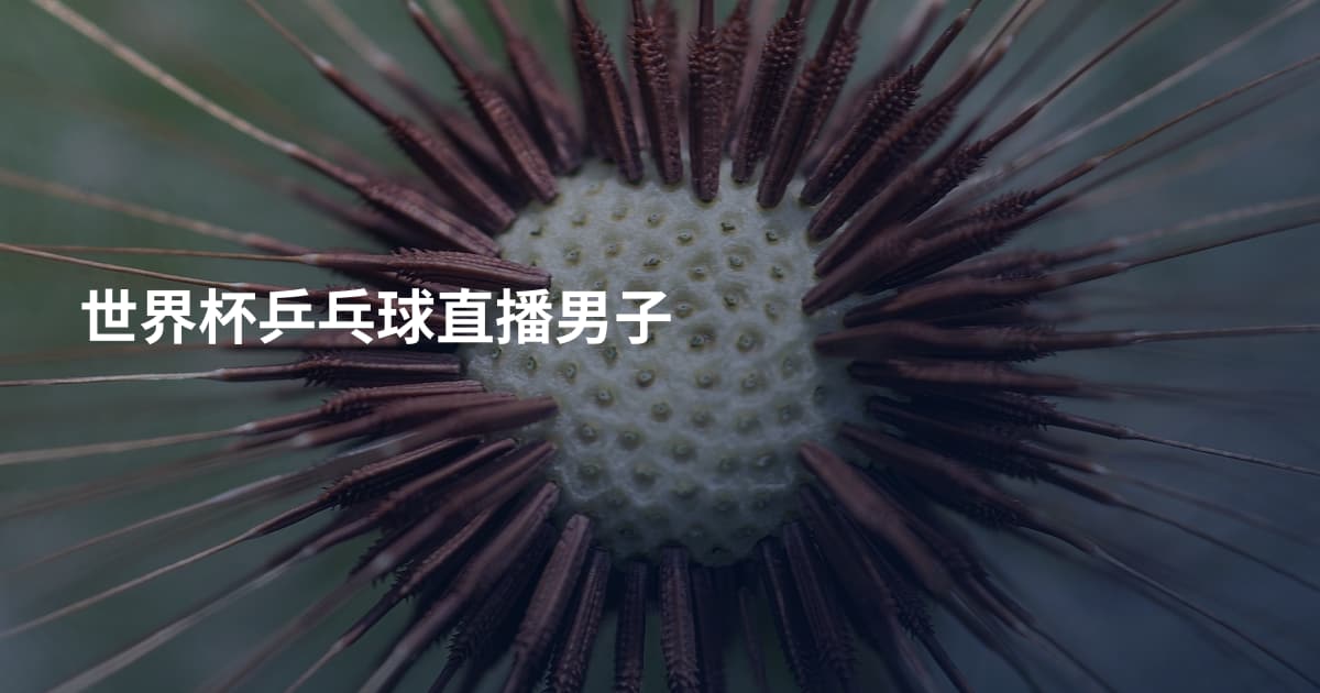 世界杯乒乓球直播男子