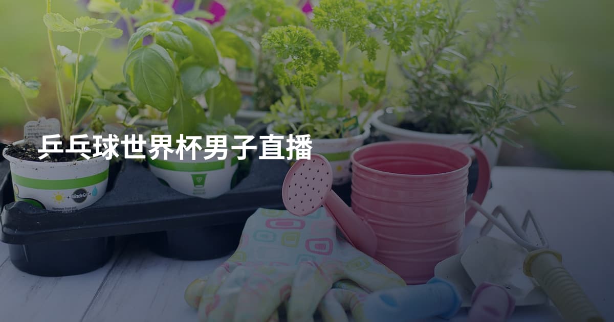 乒乓球世界杯男子直播