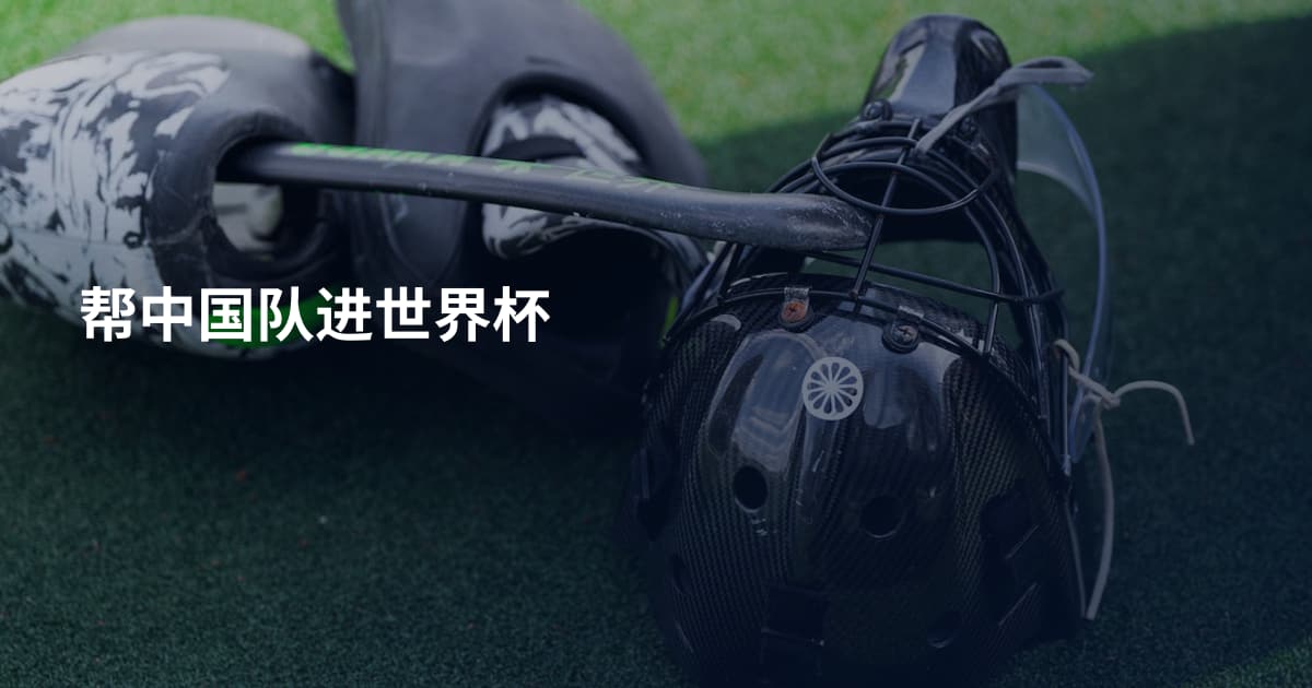 帮中国队进世界杯