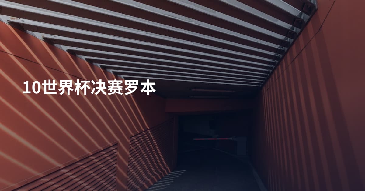10世界杯决赛罗本