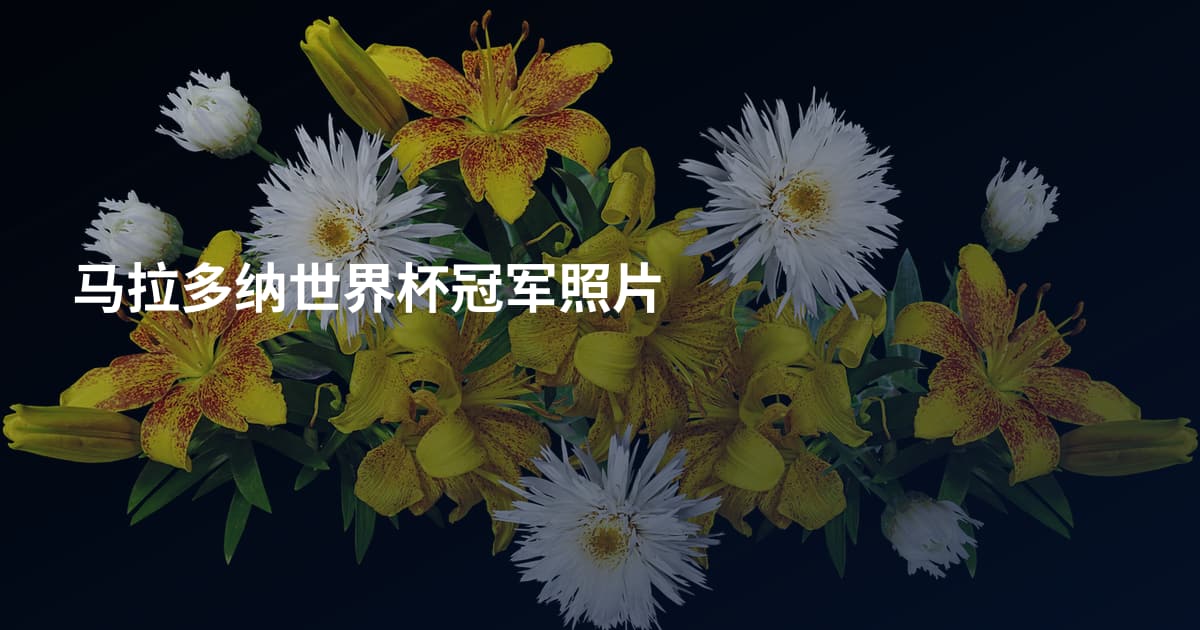 马拉多纳世界杯冠军照片