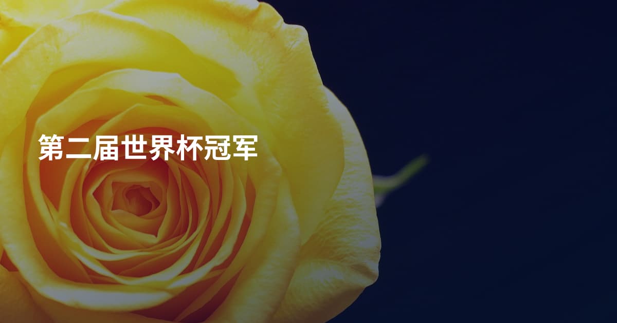 第二届世界杯冠军