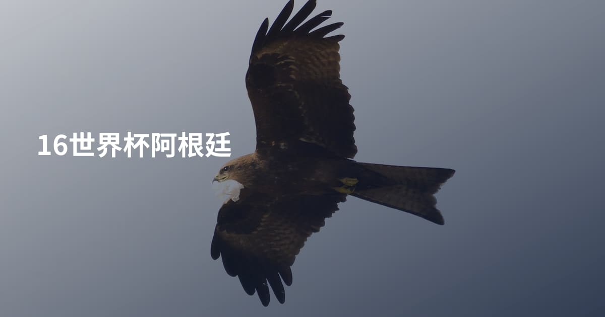 16世界杯阿根廷