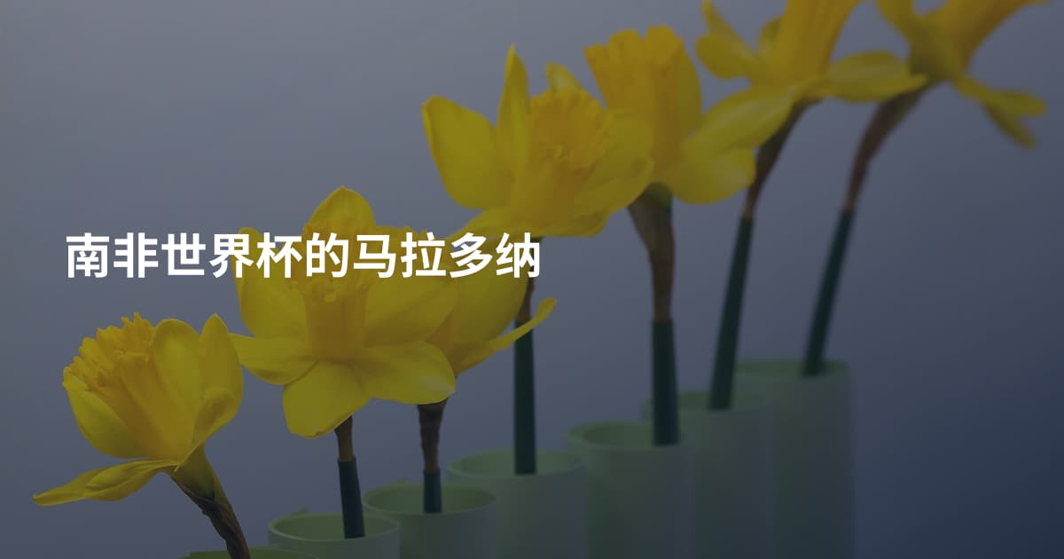 南非世界杯的马拉多纳