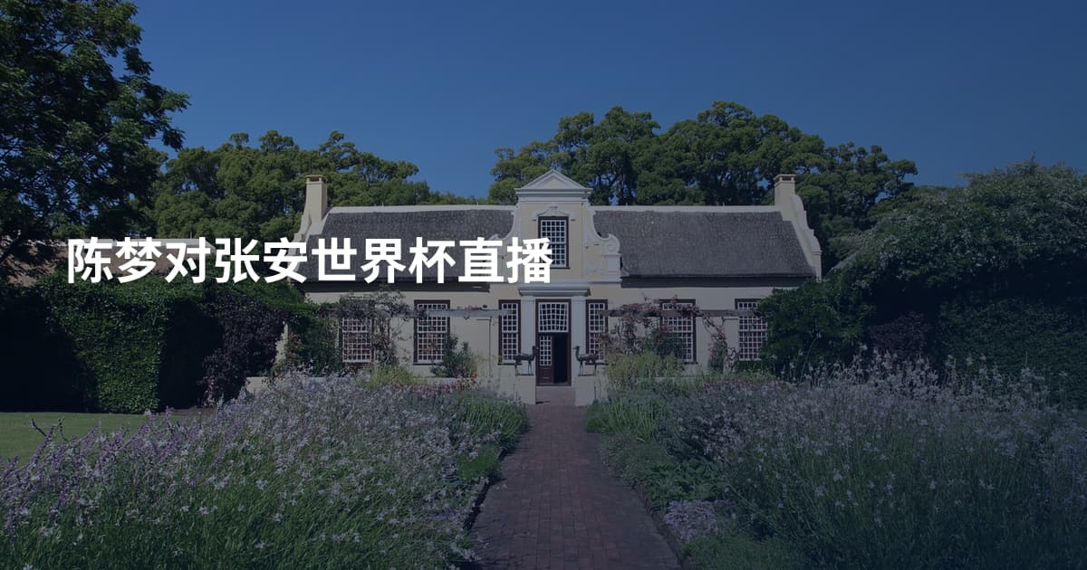 陈梦对张安世界杯直播
