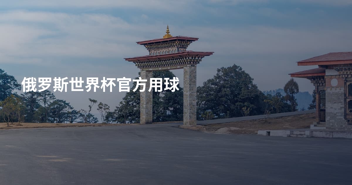 俄罗斯世界杯官方用球