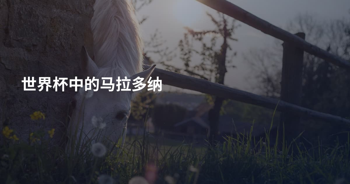 世界杯中的马拉多纳