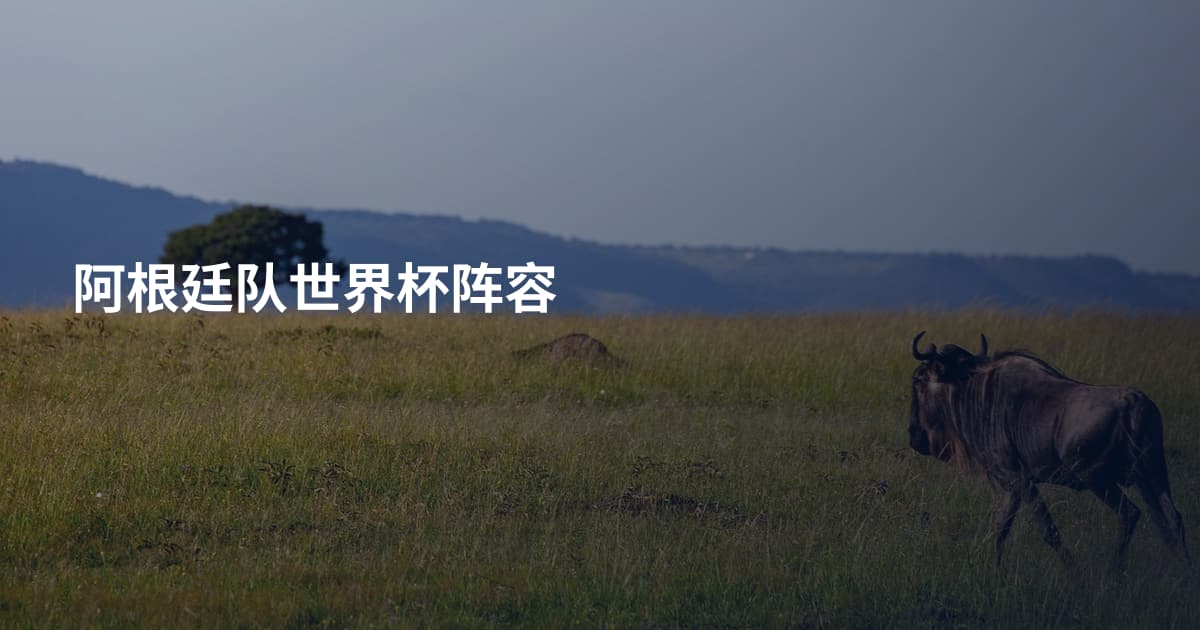 阿根廷队世界杯阵容