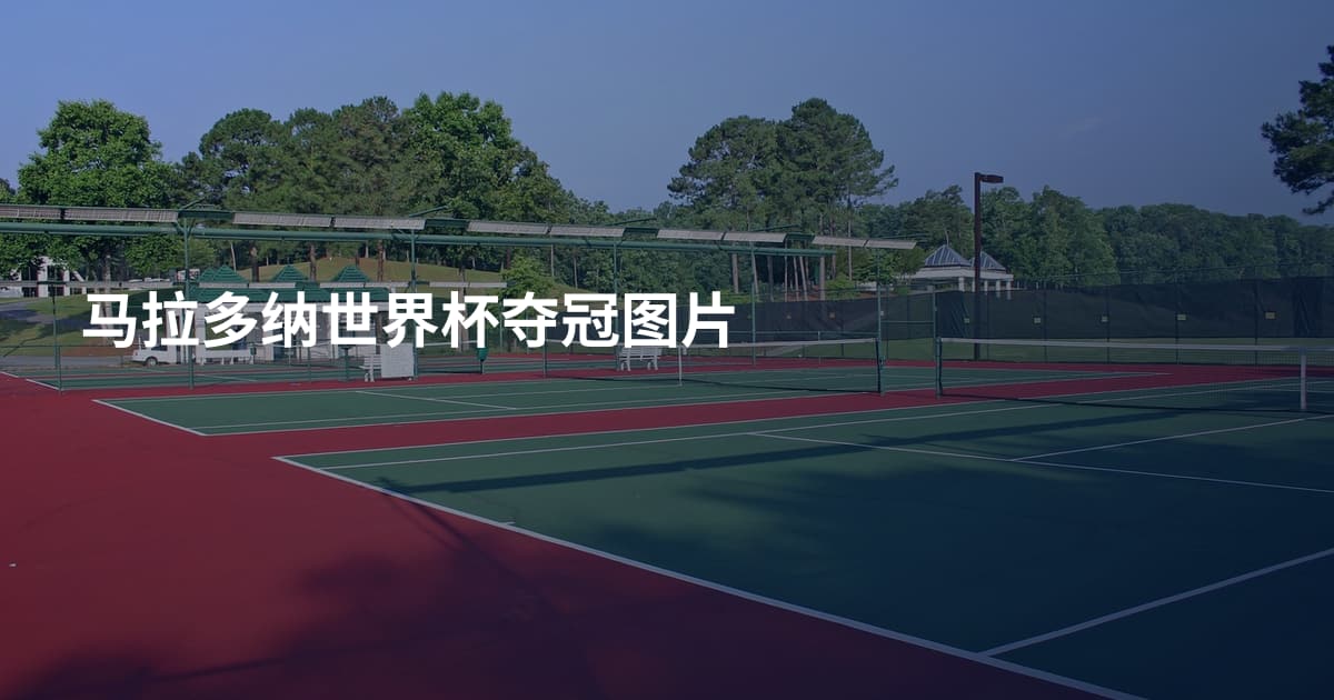 马拉多纳世界杯夺冠图片