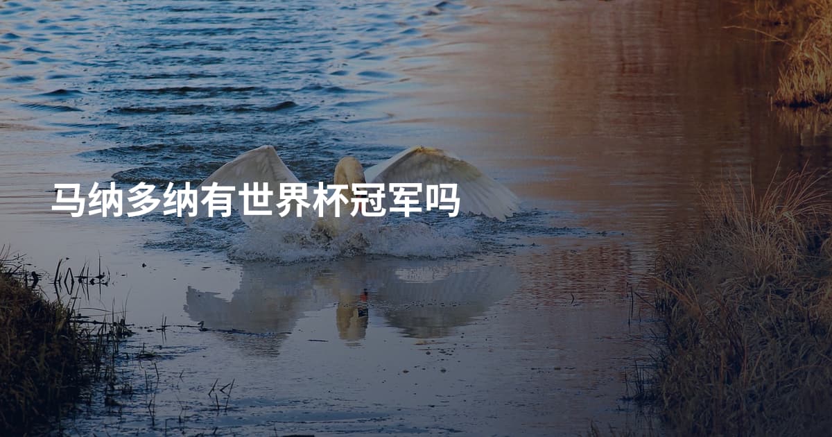 马纳多纳有世界杯冠军吗