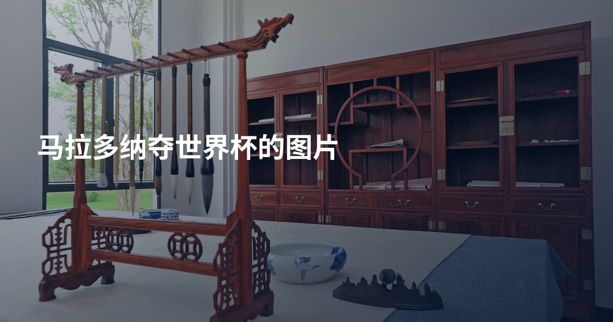 马拉多纳夺世界杯的图片