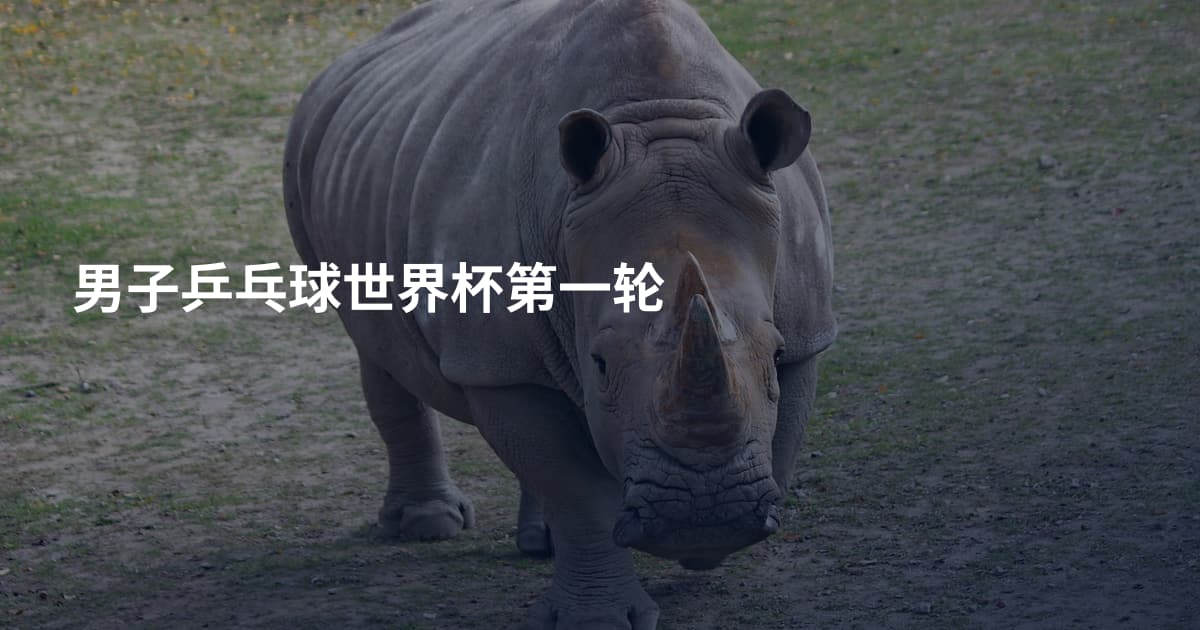 男子乒乓球世界杯第一轮