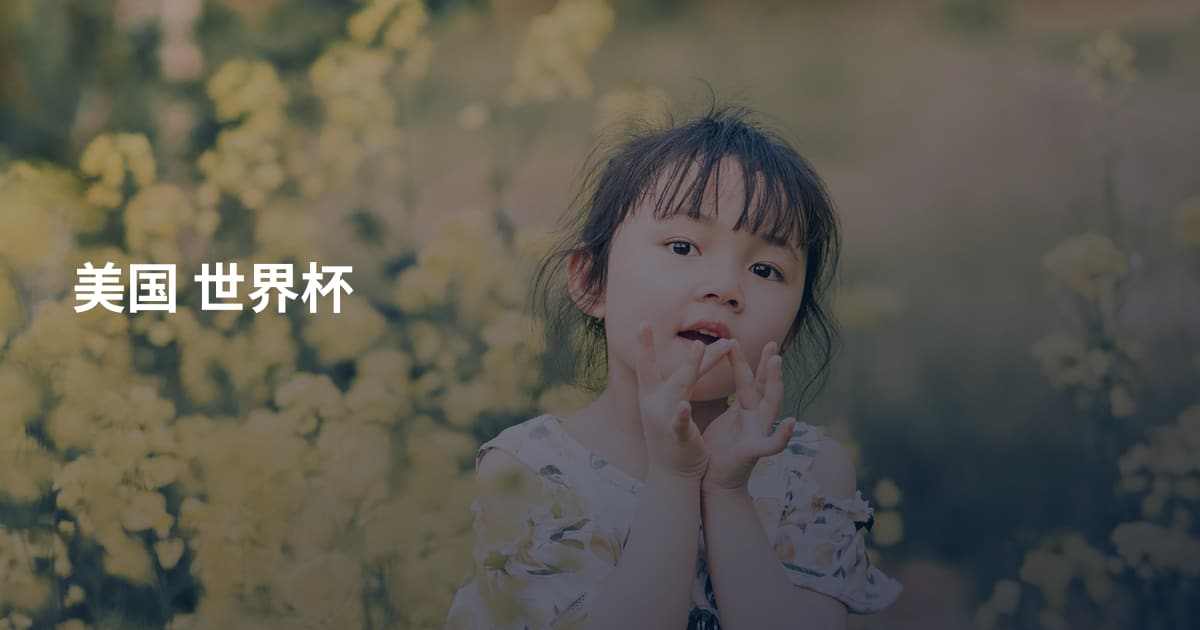 美国 世界杯