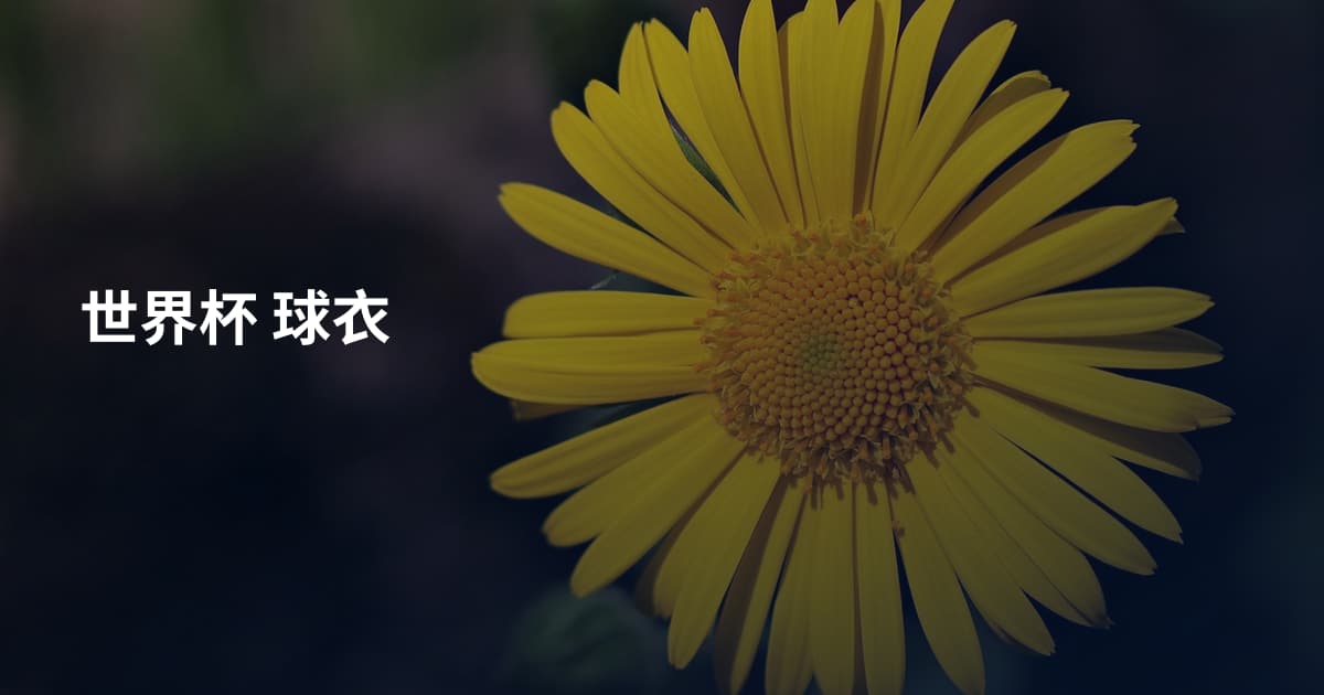 世界杯 球衣