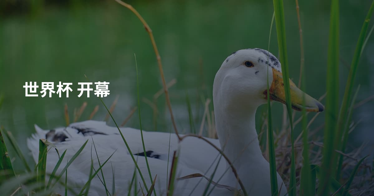 世界杯 开幕