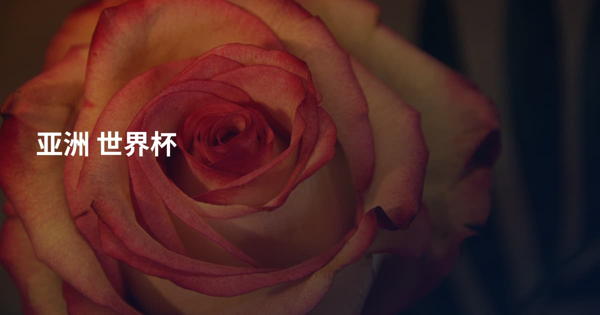 亚洲 世界杯