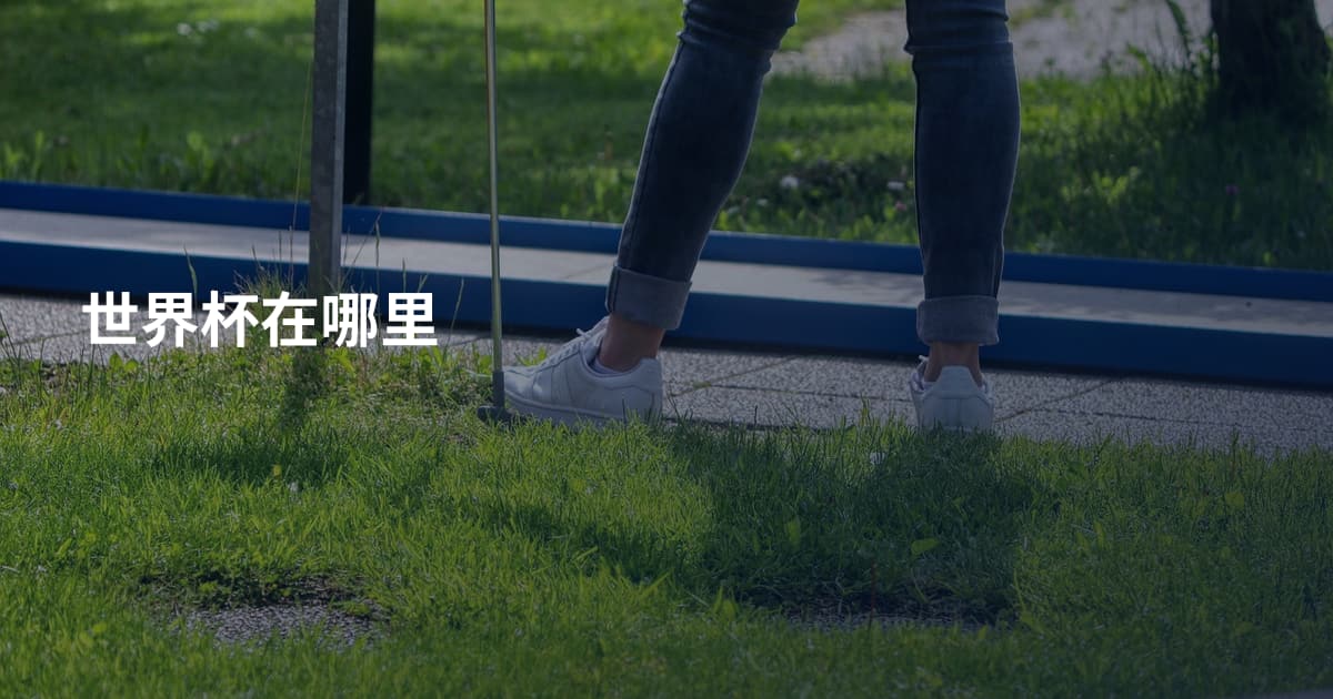 世界杯在哪里