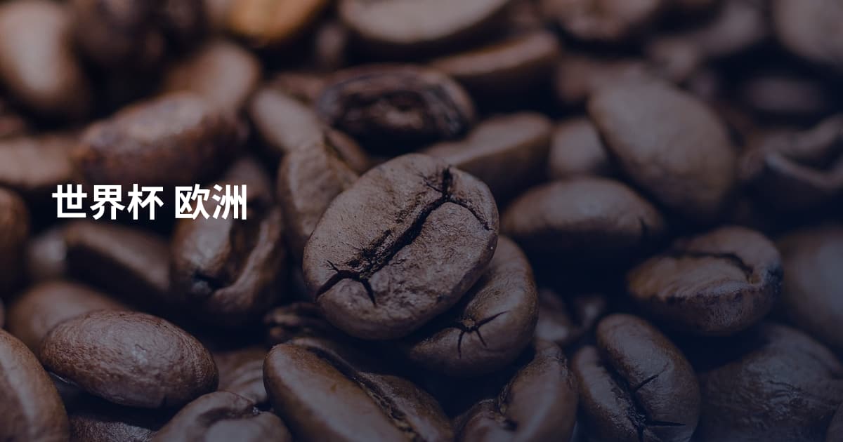 世界杯 欧洲