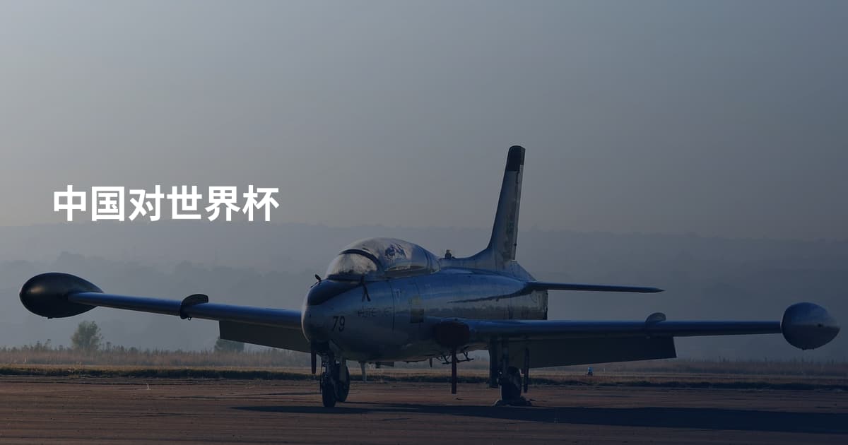 中国对世界杯