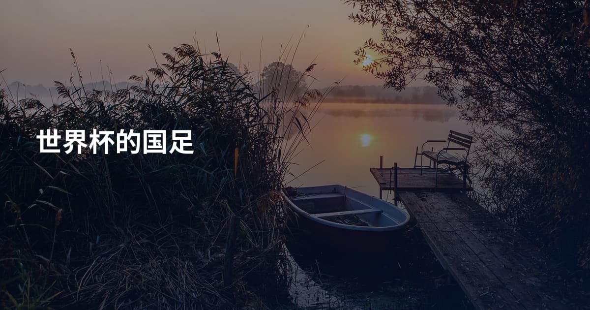 世界杯的国足