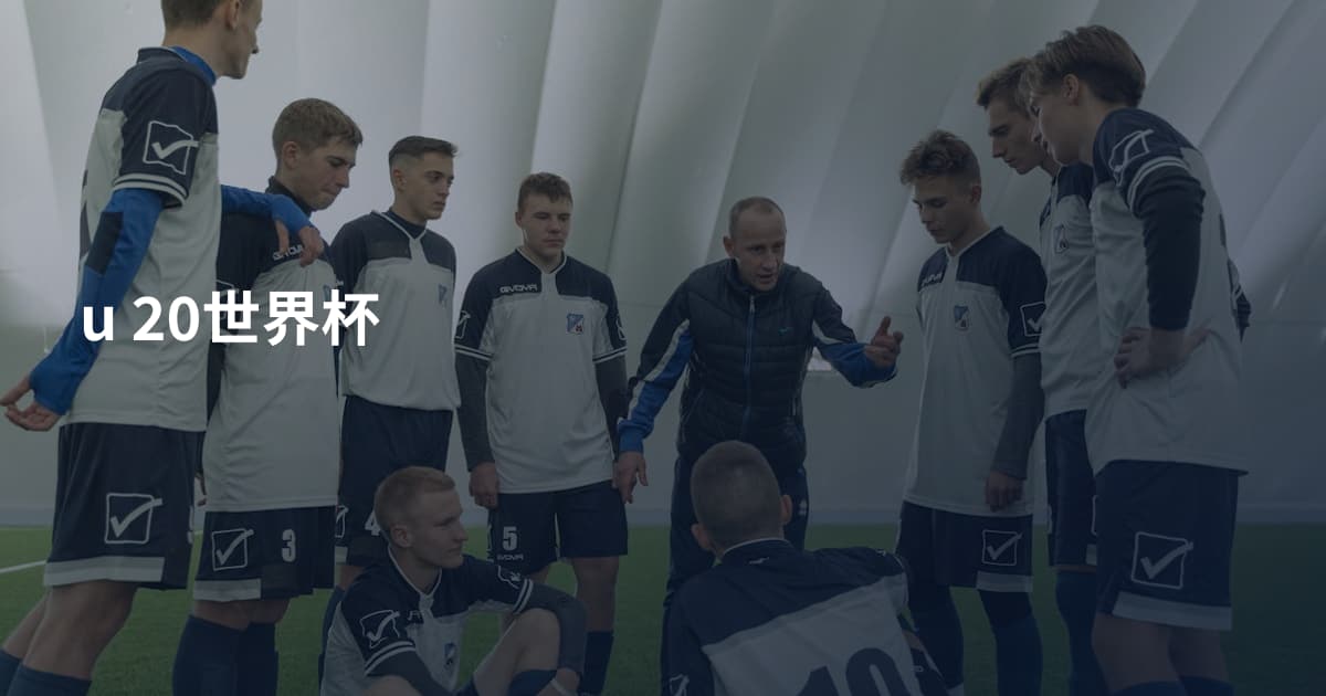 u 20世界杯