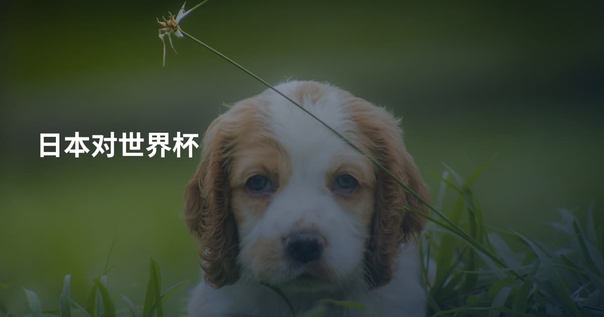 日本对世界杯