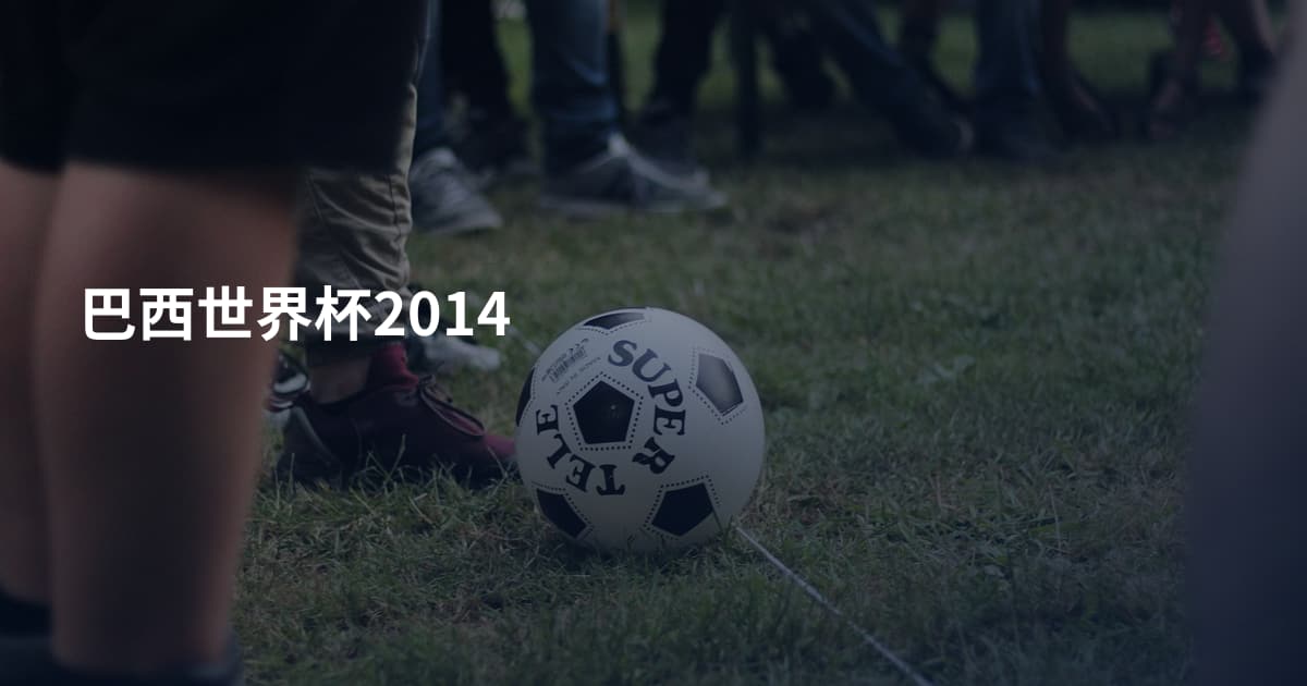 巴西世界杯2014