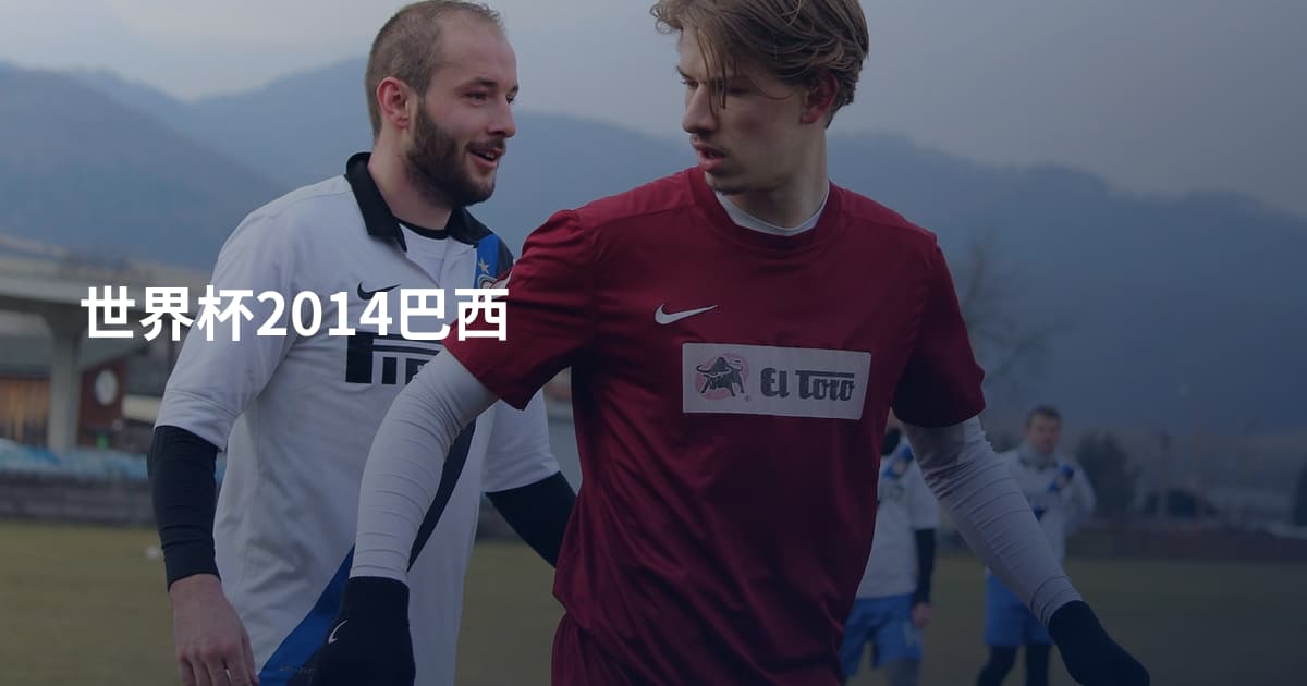 世界杯2014巴西