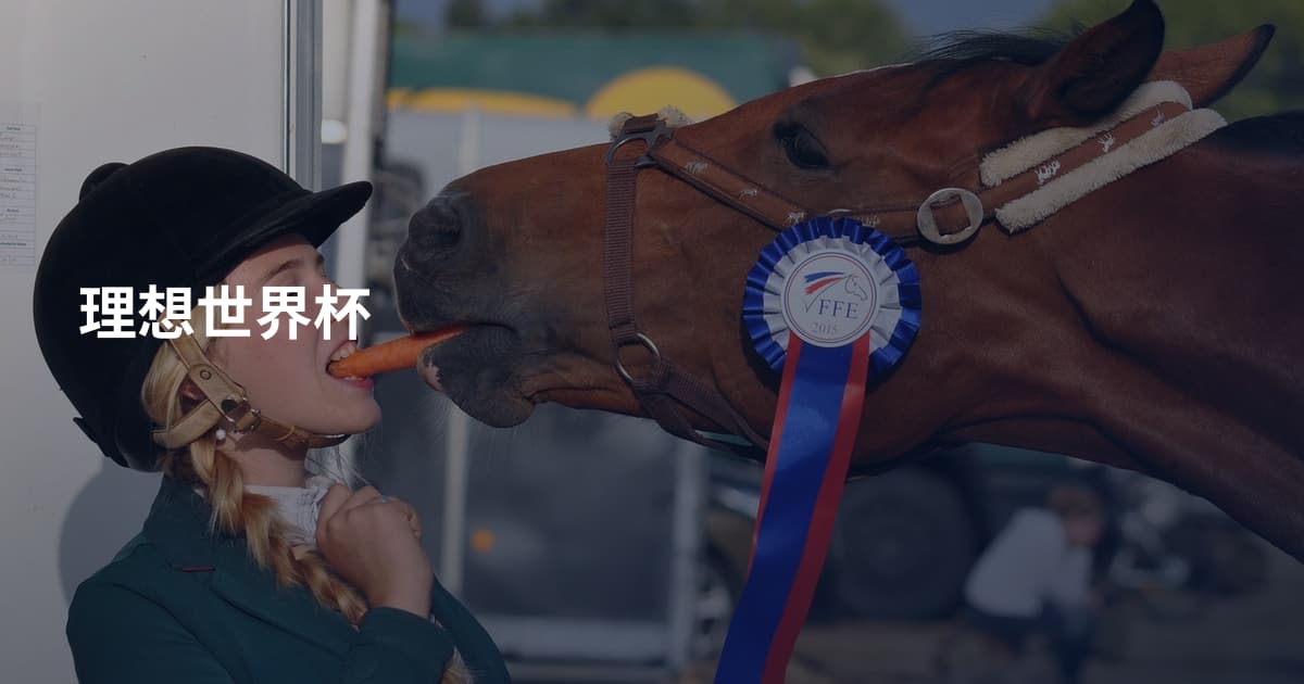 理想世界杯