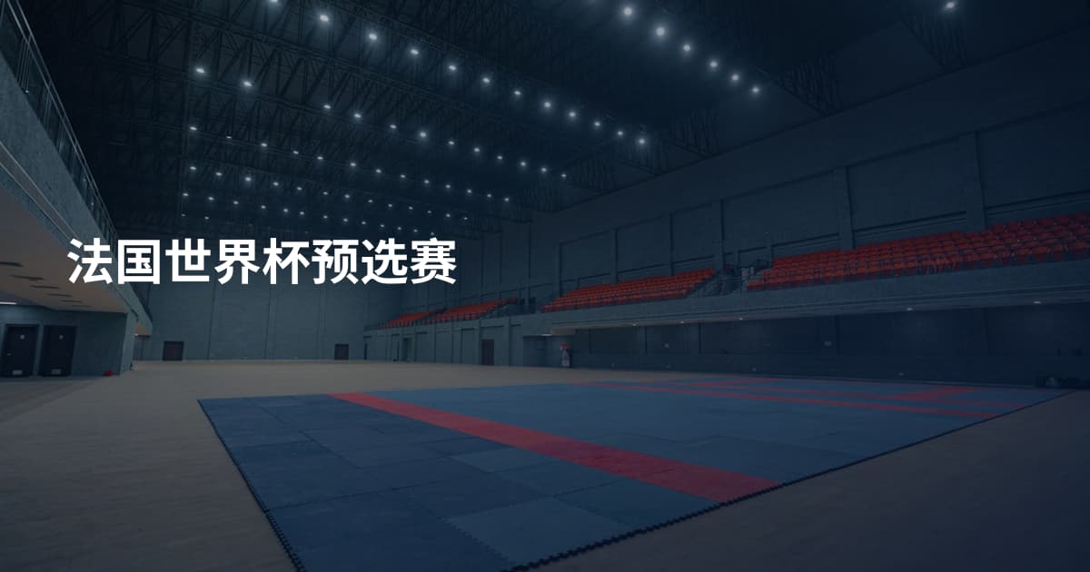 法国世界杯预选赛