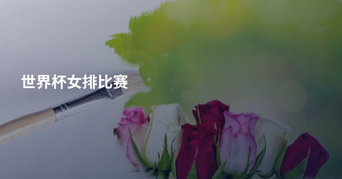 世界杯女排比赛