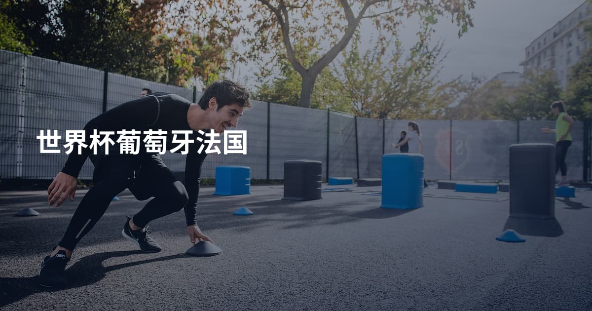 世界杯葡萄牙法国