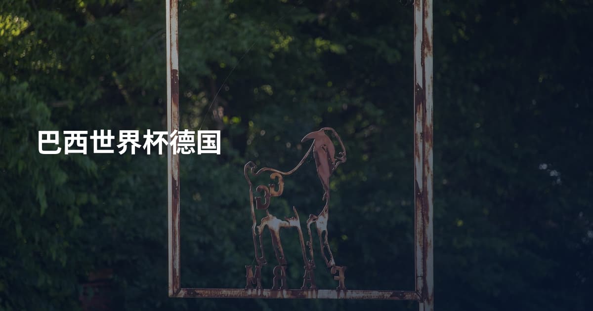 巴西世界杯德国