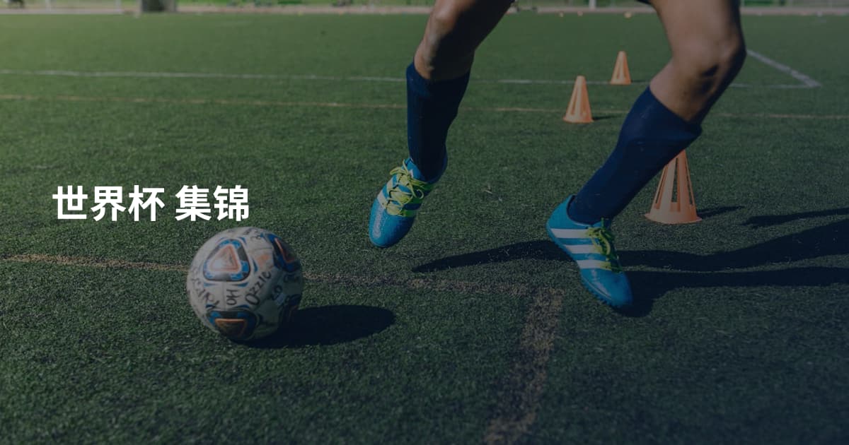 世界杯 集锦