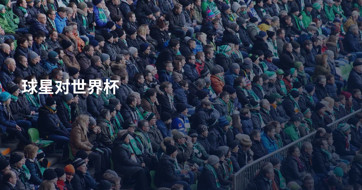 球星对世界杯