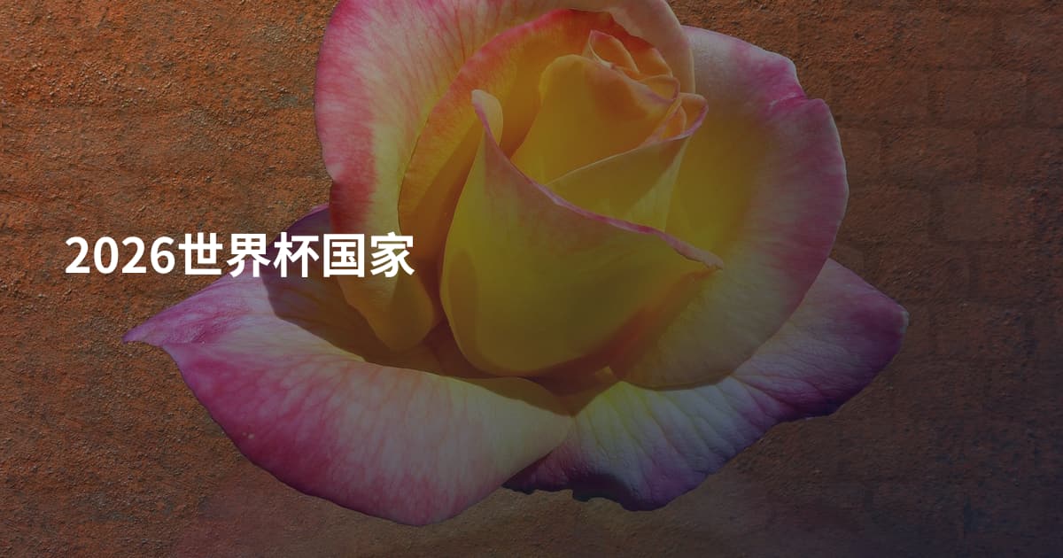 2026世界杯国家