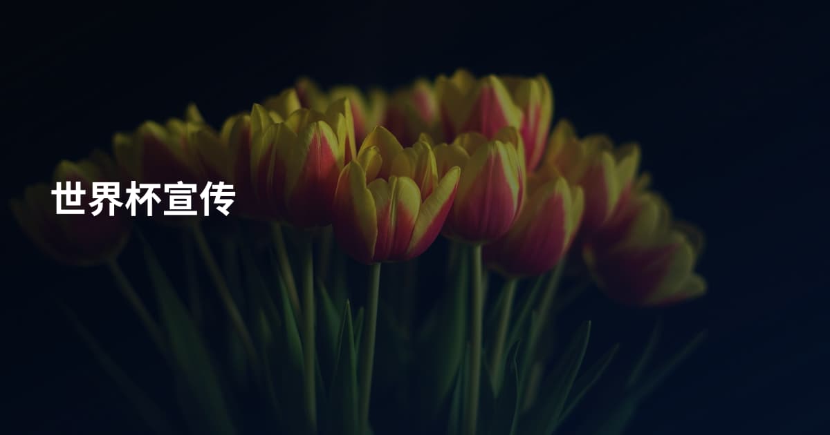 世界杯宣传