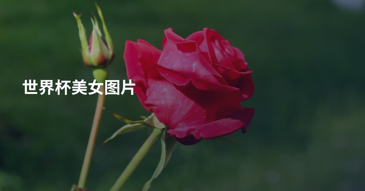 世界杯美女图片