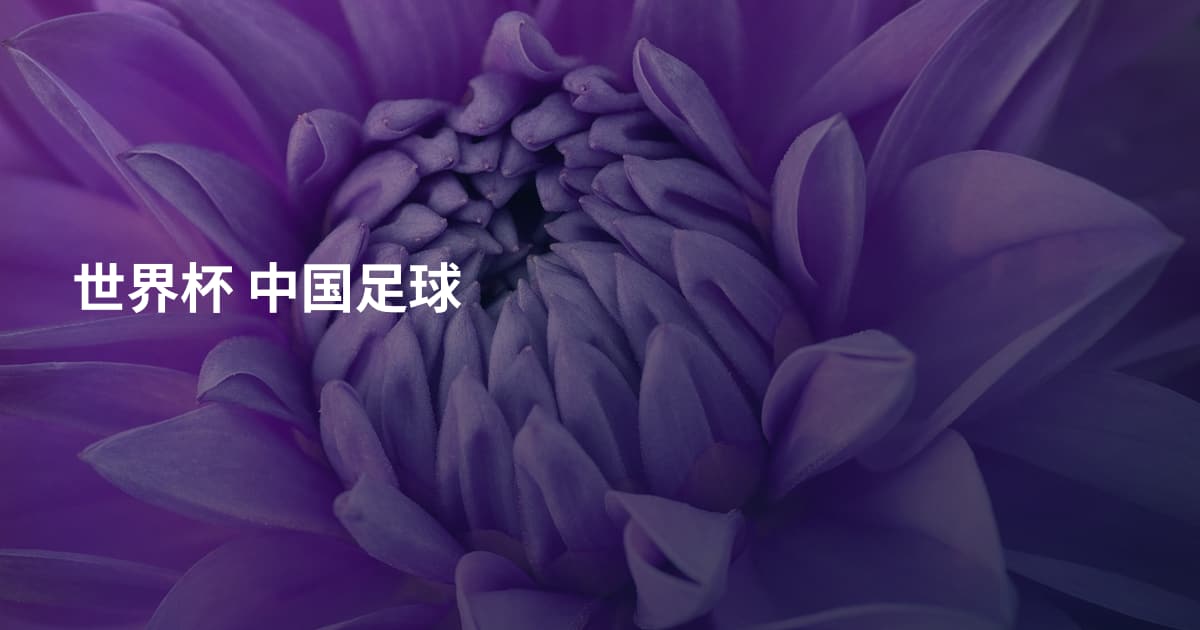 世界杯 中国足球
