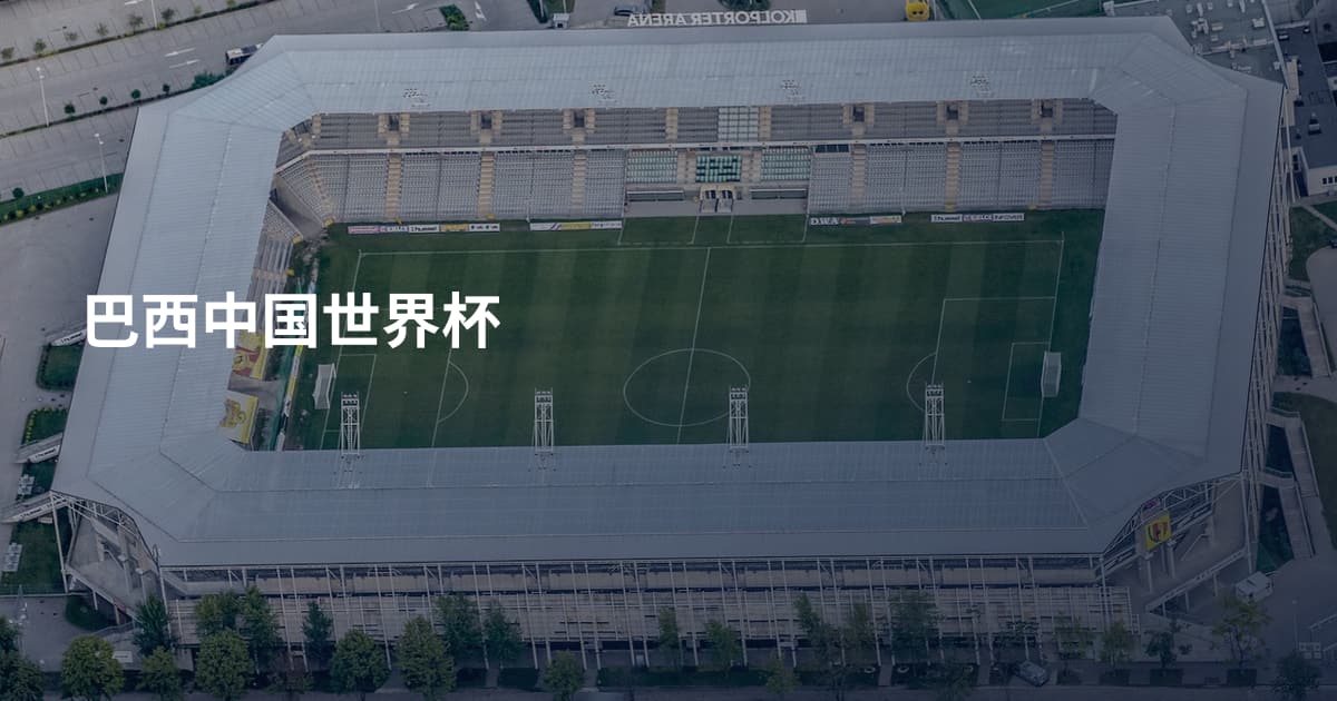 巴西中国世界杯