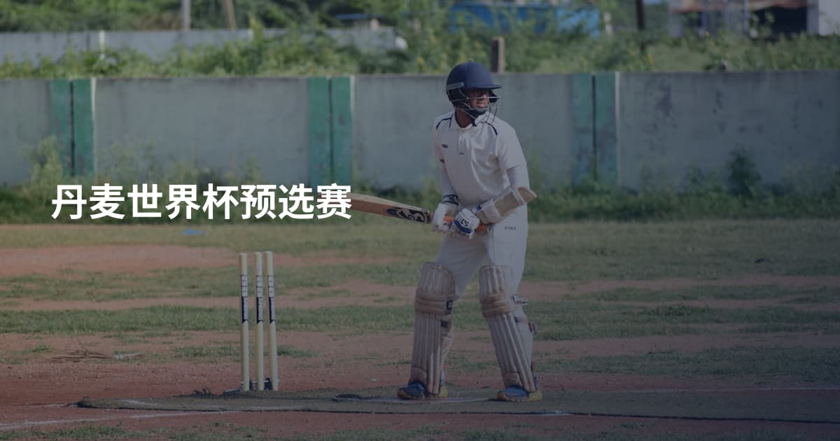 丹麦世界杯预选赛