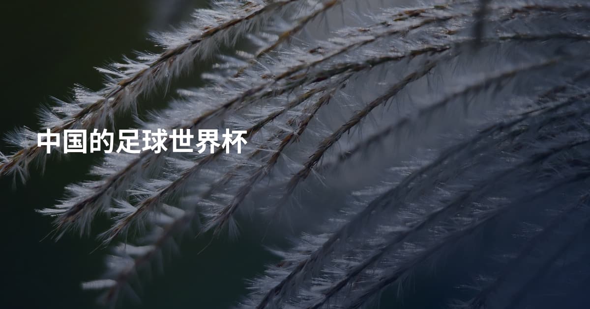 中国的足球世界杯