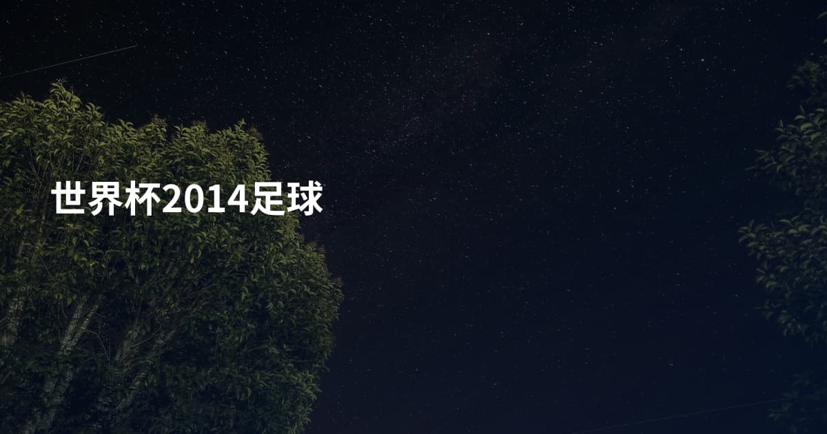 世界杯2014足球