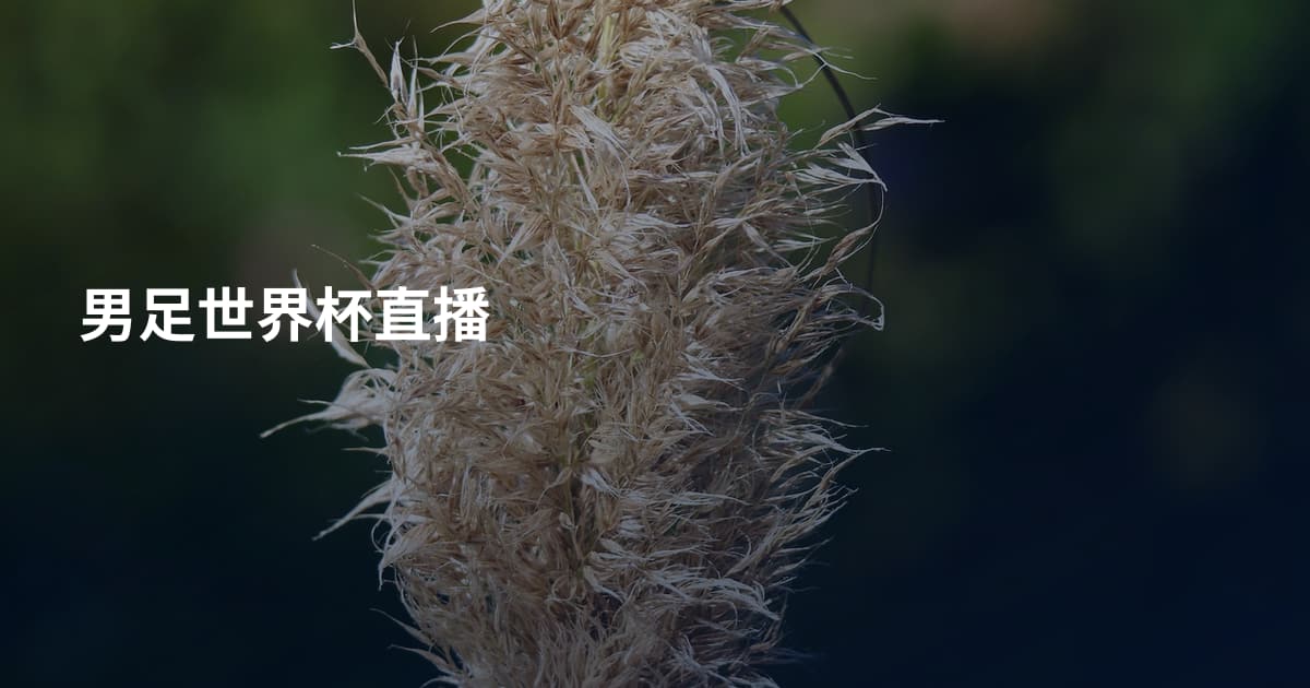 男足世界杯直播